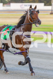 2026_Pacepix_GP30012026_RACE3_PetesHonour_WIN_WEB-2