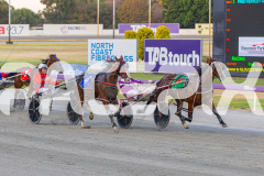 2026_Pacepix_GP30012026_RACE3_PetesHonour_WIN_WEB-21