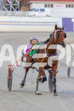 2026_Pacepix_GP30012026_RACE3_PetesHonour_WIN_WEB-27