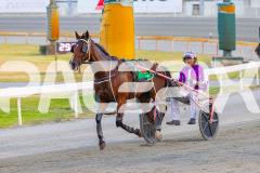 2026_Pacepix_GP30012026_RACE3_PetesHonour_WIN_WEB-29