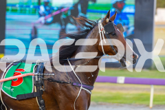 2026_Pacepix_GP30012026_RACE3_PetesHonour_WIN_WEB-3