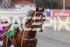 2026_Pacepix_GP30012026_RACE3_PetesHonour_WIN_WEB-32