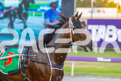 2026_Pacepix_GP30012026_RACE3_PetesHonour_WIN_WEB-4