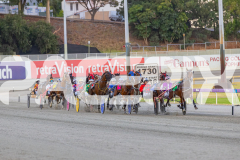 2026_Pacepix_GP30012026_RACE3_PetesHonour_WIN_WEB-9
