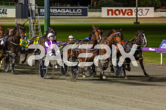 Petes-Honour_15-08-2025_WIN_Gloucester-Park_3__02