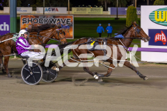 Petes-Honour_15-08-2025_WIN_Gloucester-Park_3__05