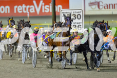 2026_PACEPIX_GP02062026_RACE3_Poppyonthebeach_WIN_WEB-1