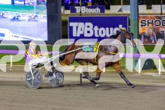 2026_PACEPIX_GP02062026_RACE3_Poppyonthebeach_WIN_WEB-13