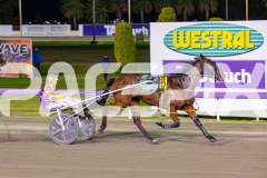 2026_PACEPIX_GP02062026_RACE3_Poppyonthebeach_WIN_WEB-14