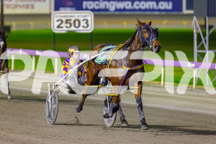 2026_PACEPIX_GP02062026_RACE3_Poppyonthebeach_WIN_WEB-16