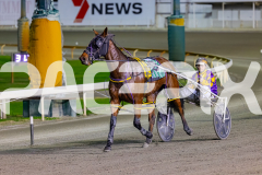 2026_PACEPIX_GP02062026_RACE3_Poppyonthebeach_WIN_WEB-17
