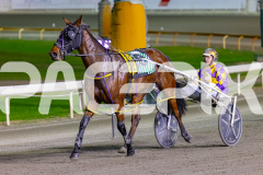 2026_PACEPIX_GP02062026_RACE3_Poppyonthebeach_WIN_WEB-18