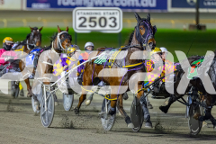 2026_PACEPIX_GP02062026_RACE3_Poppyonthebeach_WIN_WEB-2