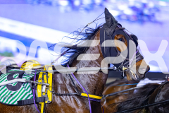 2026_PACEPIX_GP02062026_RACE3_Poppyonthebeach_WIN_WEB-3