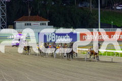 2026_PACEPIX_GP02062026_RACE3_Poppyonthebeach_WIN_WEB-7