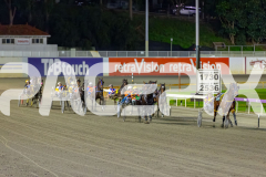 2026_PACEPIX_GP02062026_RACE3_Poppyonthebeach_WIN_WEB-8