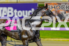 2026_PACEPIX_GP23062026_Race3_QueenOfAll_WIN_WEB-7