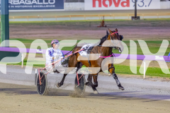 2025_PACEPIX_GP23012026_Race3_Queeninthecorner_WIN_WEB-10