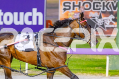 2025_PACEPIX_GP23012026_Race3_Queeninthecorner_WIN_WEB-16