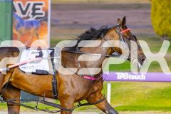 2025_PACEPIX_GP23012026_Race3_Queeninthecorner_WIN_WEB-17