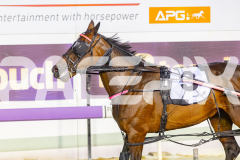 2025_PACEPIX_GP23012026_Race3_Queeninthecorner_WIN_WEB-19