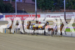 2025_PACEPIX_GP23012026_Race3_Queeninthecorner_WIN_WEB-2