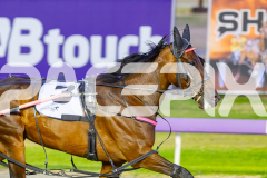 2025_PACEPIX_GP23012026_Race3_Queeninthecorner_WIN_WEB-4