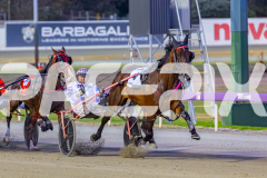 2025_PACEPIX_GP23012026_Race3_Queeninthecorner_WIN_WEB-5