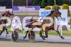2025_PACEPIX_GP23012026_Race3_Queeninthecorner_WIN_WEB-6