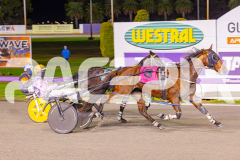 2025_PACEPIX_GP03062025_RACE3_RoadClosure_WIN_WEB-5