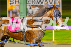 2025_PACEPIX_GP03062025_RACE3_RoadClosure_WIN_WEB-7