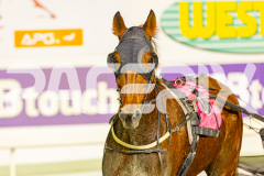 2025_PACEPIX_GP03062025_RACE3_RoadClosure_WIN_WEB-9