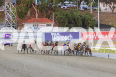 2025_PACEPIX_GP26122025_RACE3_RockMeOver_WIN_WEB-2