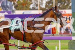 2025_PACEPIX_GP26122025_RACE3_RockMeOver_WIN_WEB-7
