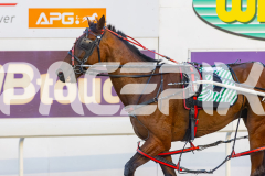2025_PACEPIX_GP26122025_RACE3_RockMeOver_WIN_WEB-9
