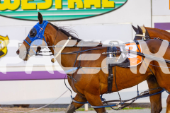 2025_PACEPIX_GP07112025_RACE3_Rocknrollartist_WIN_WEB-12