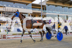 2025_PACEPIX_GP07112025_RACE3_Rocknrollartist_WIN_WEB-18