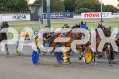 2025_PACEPIX_GP07112025_RACE3_Rocknrollartist_WIN_WEB-5
