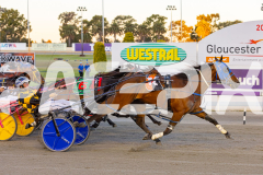 2025_PACEPIX_GP07112025_RACE3_Rocknrollartist_WIN_WEB-8
