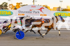 2025_PACEPIX_GP07112025_RACE3_Rocknrollartist_WIN_WEB-9