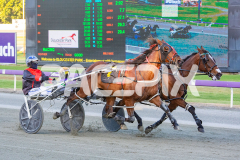 Rollindowntheriver_21-10-2025_WIN_Gloucester-Park_3__02