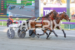 Rollindowntheriver_21-10-2025_WIN_Gloucester-Park_3__03