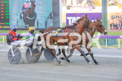 Rollindowntheriver_21-10-2025_WIN_Gloucester-Park_3__06