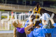 Gloucester Park - 06/05/2025