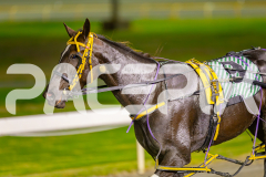 2025_PACEPIX_GP06052025_RACE3_RubyLovera_WIN_WEB-24