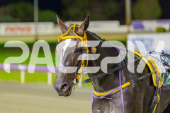 2025_PACEPIX_GP06052025_RACE3_RubyLovera_WIN_WEB-26