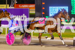 2025_Pacepix_GP30092025_RACE3_RumbleStrip_WIN_WEB-3