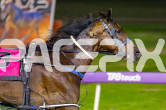 2026_PACEPIX_GP10042026_RACE3_RunkleCrunch_WIN_WEB-10