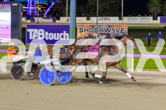 2026_PACEPIX_GP10042026_RACE3_RunkleCrunch_WIN_WEB-14