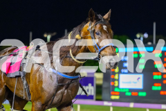 2026_PACEPIX_GP10042026_RACE3_RunkleCrunch_WIN_WEB-18